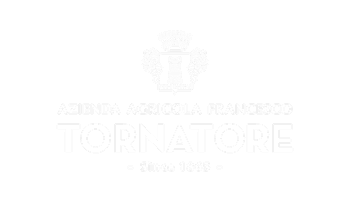 Official partner 12