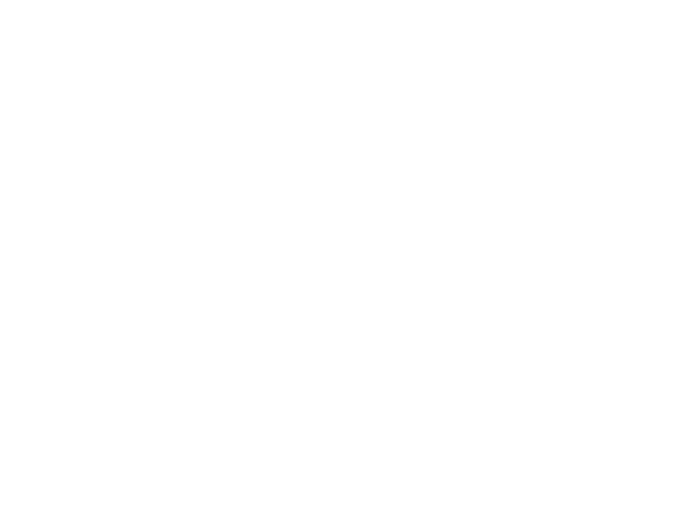 Official partner 2